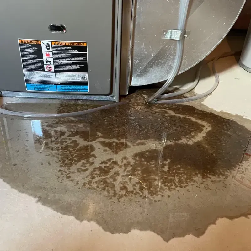 Appliance Leak Cleanup in Uniontown, AL